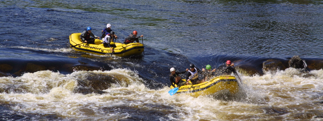 H2H race, 2011 championships